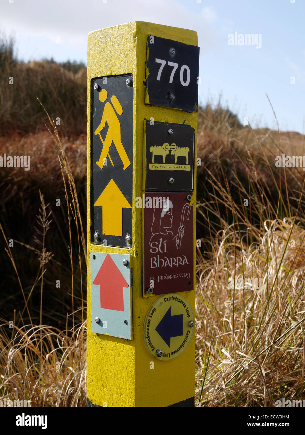 Waymark signe sur l'Mullaghmesha à pied Boucle, comté de Cork, Irlande. Affiche les logos de la tête de mouton et du chemin St Finbarr Banque D'Images
