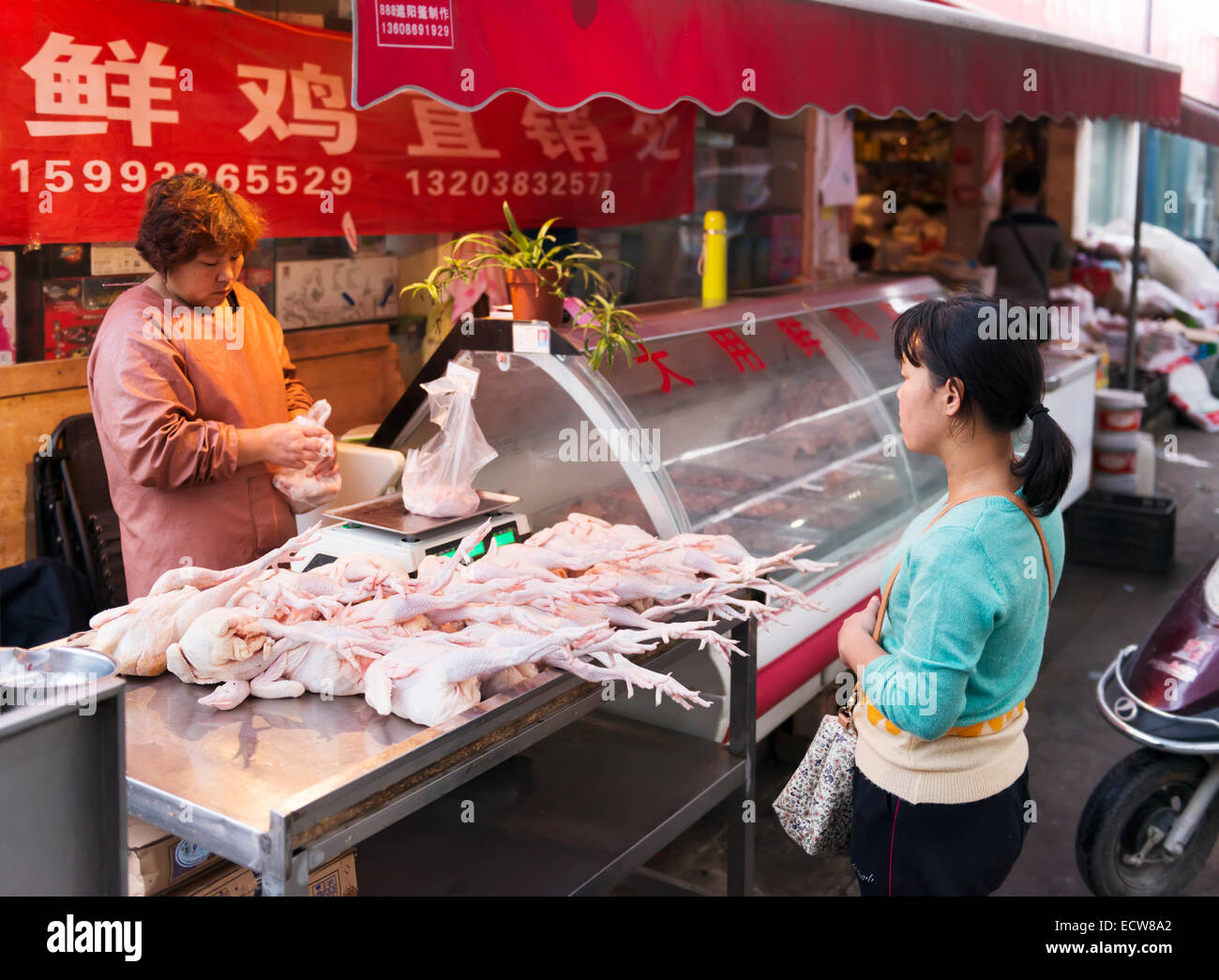 Femme à une vente sur le marché de l'alimentation des poulets à Zhengzhou, Henan, Chine Banque D'Images