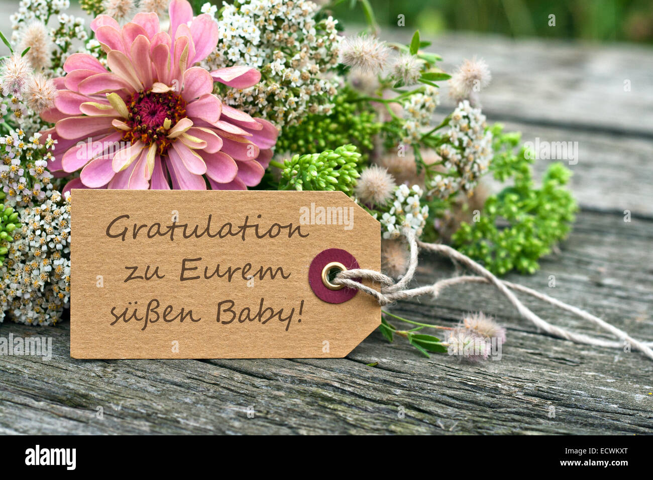 Congratulations birth baby girl Banque de photographies et d'images à haute  résolution - Alamy