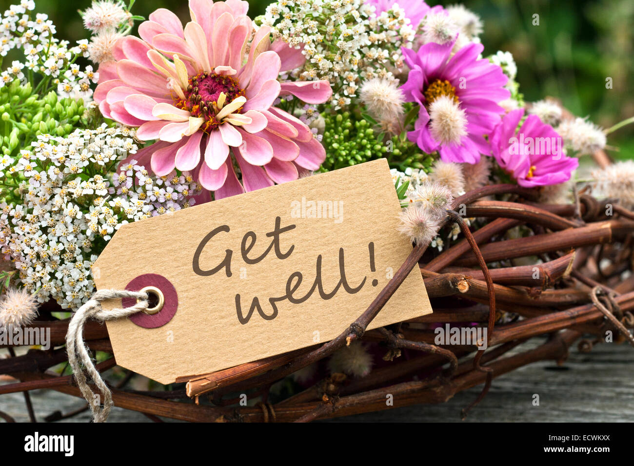 Carte anglaise avec des fleurs roses et Get Well Soon text Banque D'Images