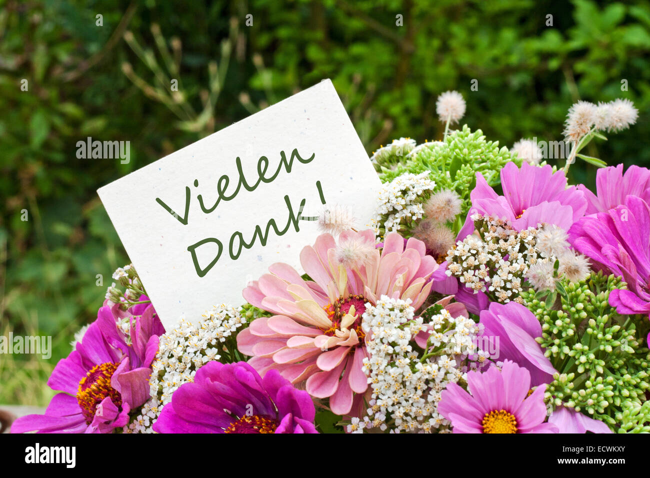 Carte de vœux allemand avec des fleurs roses Banque D'Images