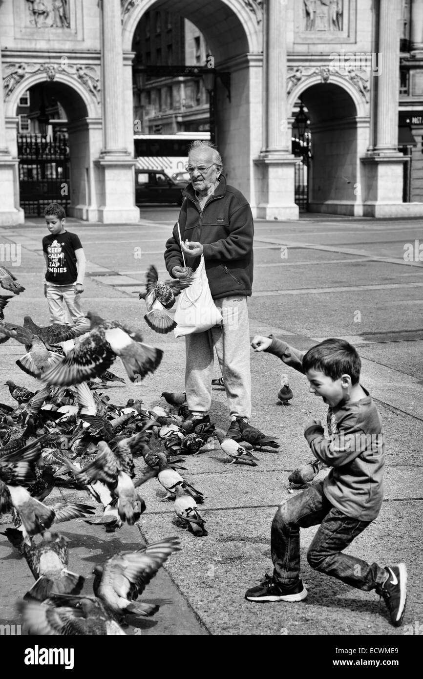 Les enfants jouent alors qu'un homme nourrit les pigeons à Londres Banque D'Images