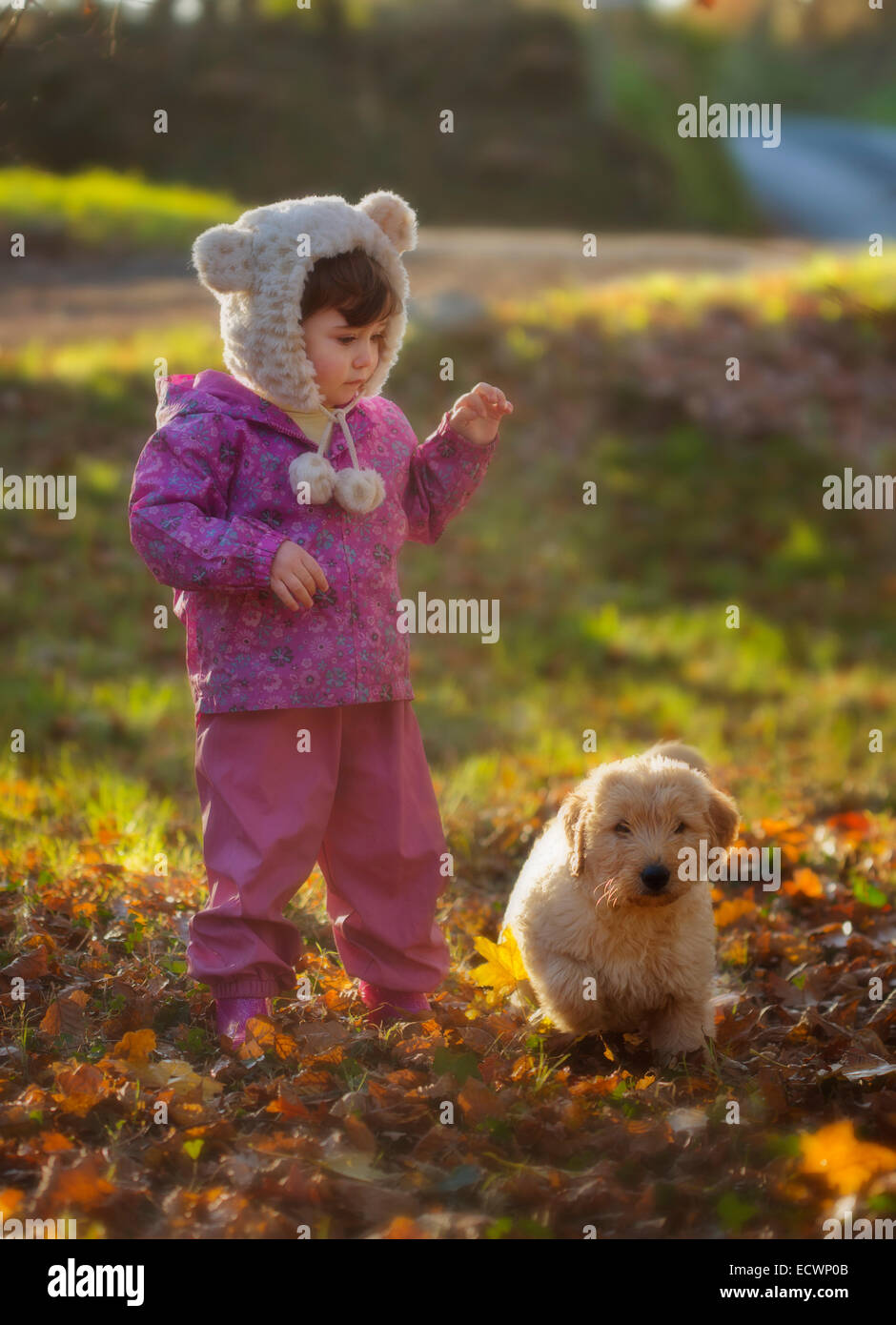 A cute little girl and puppy Banque D'Images