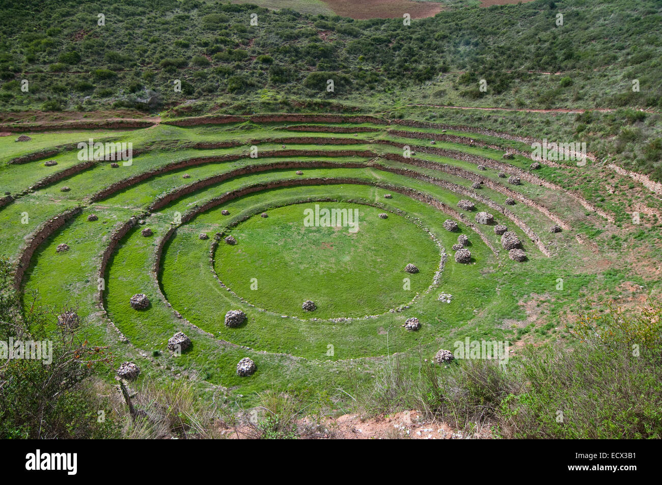 Ruines de Moray au Pérou dans la Vallée Sacrée Banque D'Images