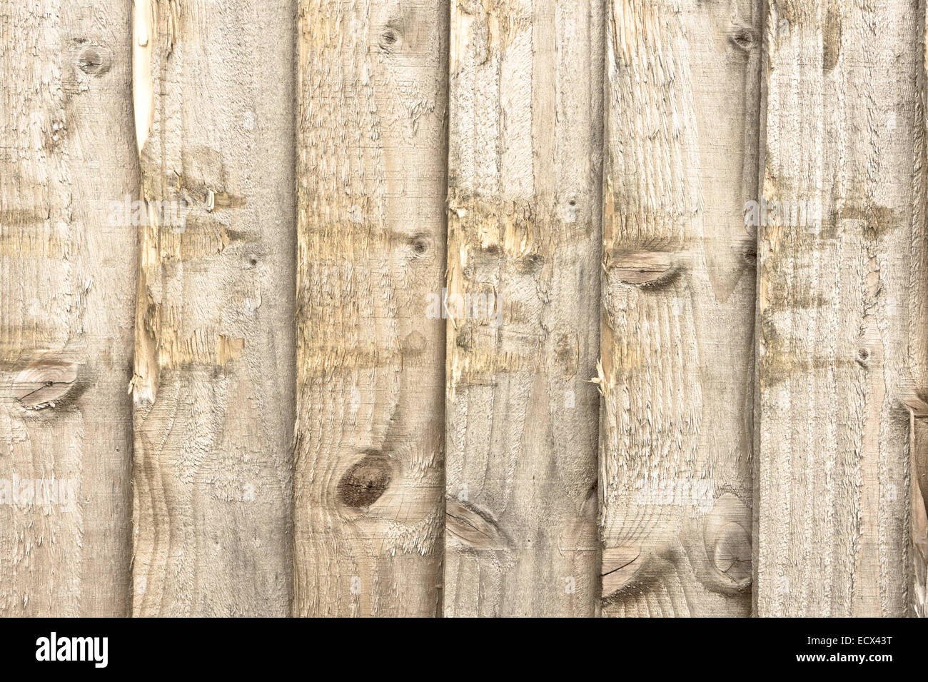 Panneaux de clôture éraflés en arrière-plan Banque D'Images