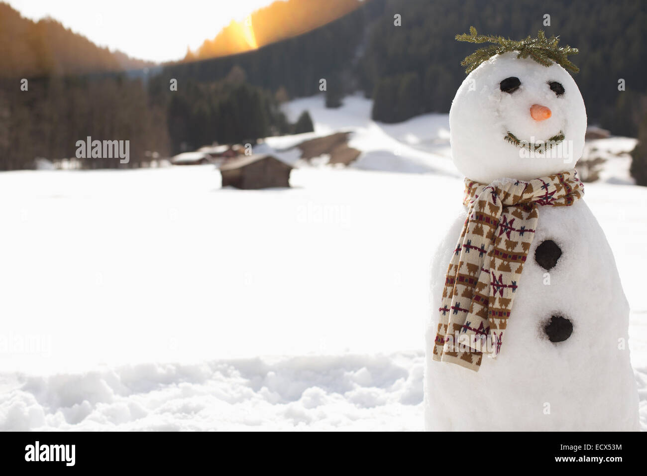 Bonhomme de neige dans le champ ensoleillé Banque D'Images