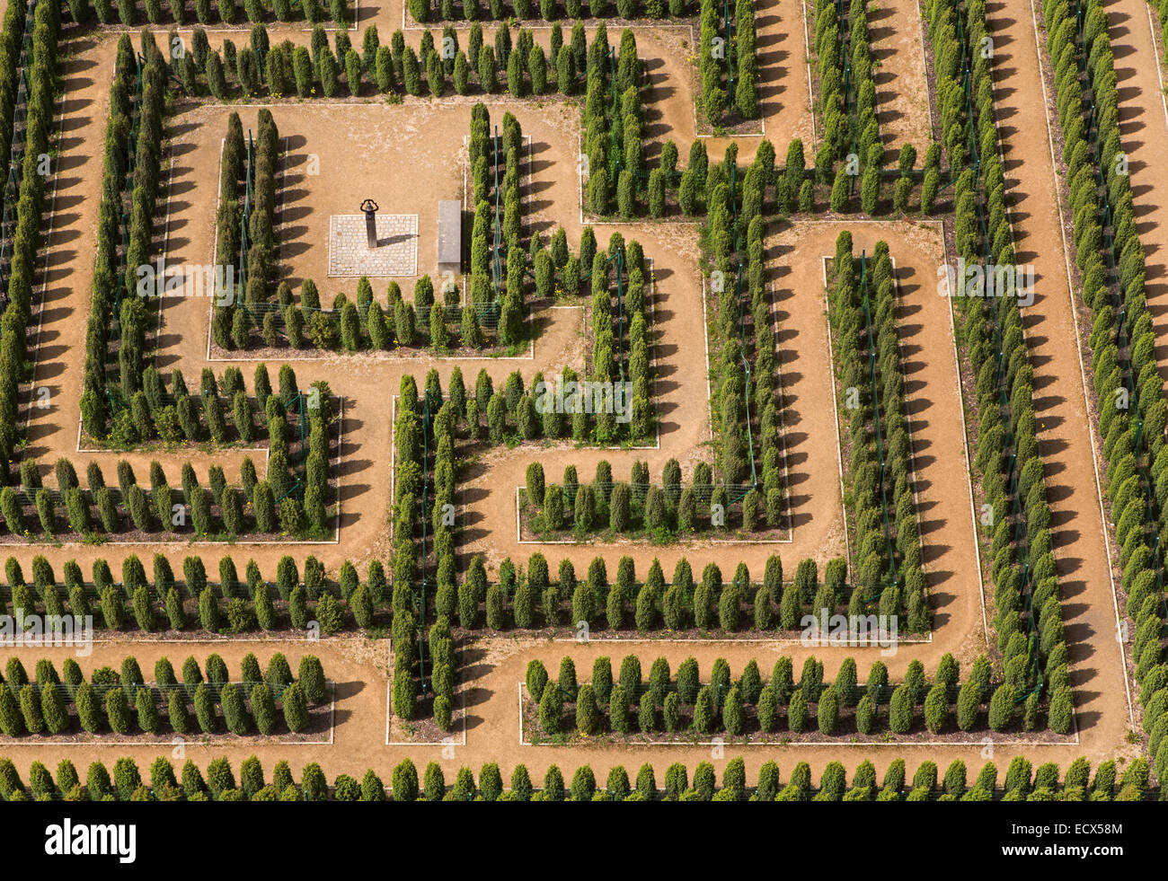 Labyrinthe, Brandenburg, Germany, Europe Banque D'Images