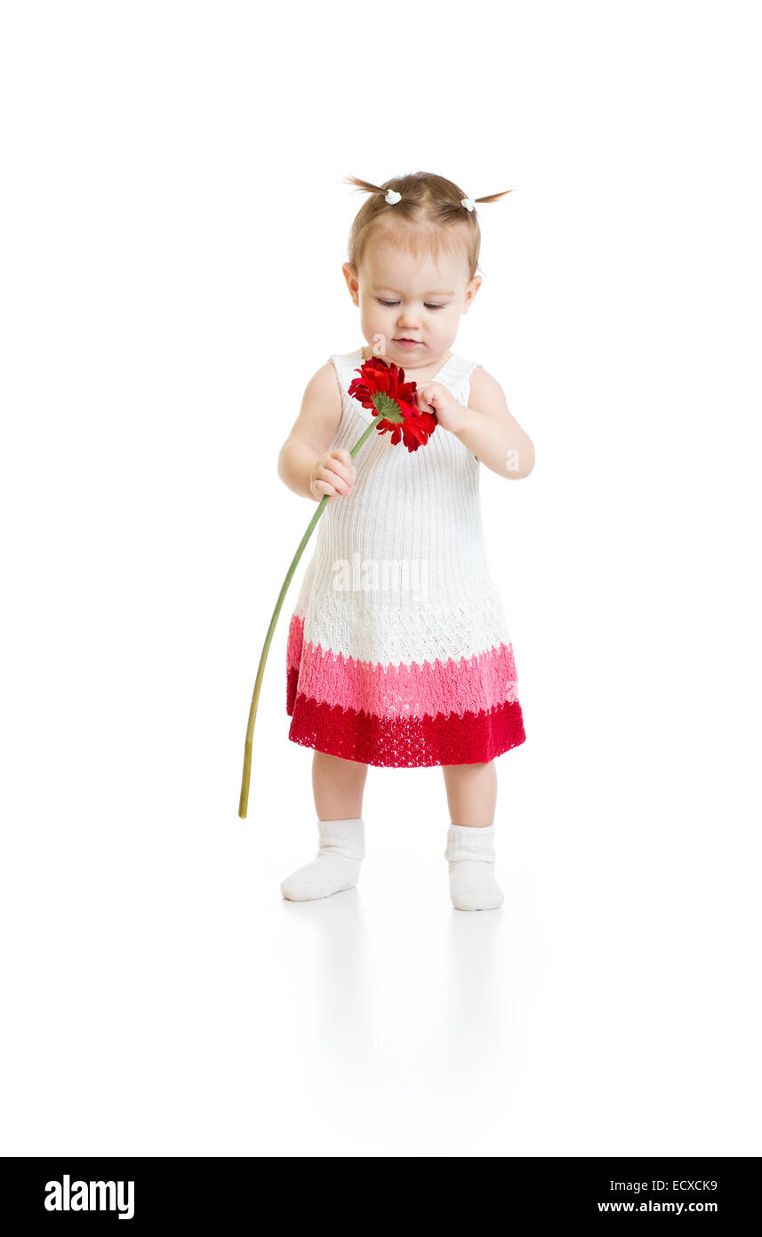 Adorable baby girl et à la recherche de la fleur rouge isolé Banque D'Images