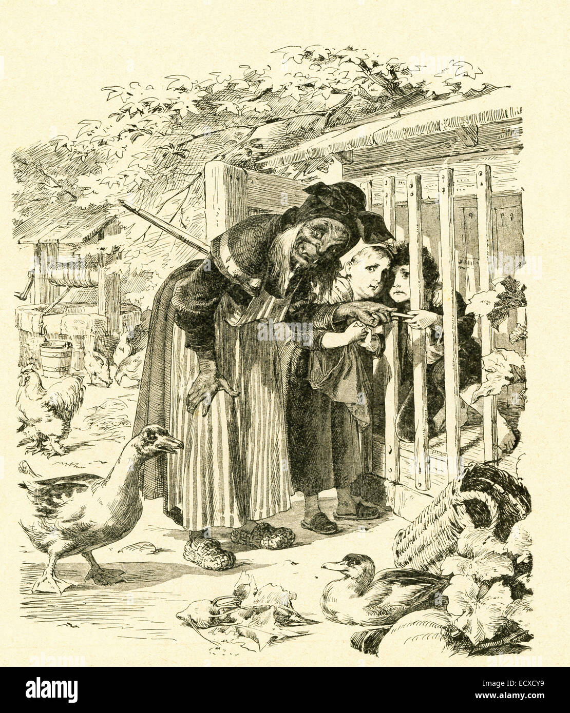 En 1812, les frères Grimm, Jacob et Wilhelm, publié contes pour enfants, une collection contes allemands. Cette illustration accompagnée le conte "Hanzel et Gretel." Il montre dans la cage de fer Hanzel où il a été mis par la sorcière. La sorcière tente d'fattenhim jusqu'à manger, mais lui donne un os Hanzel au lieu de son doigt et elle pense qu'il est encore trop faible pour manger. Cette image est de Grimms Eventyr (Grimm's Fairy Tales) par Carl Ewald, publié en 1922. Le frontispice a l'illustrations de Philip Grot Johann et R. Leinweber. Banque D'Images