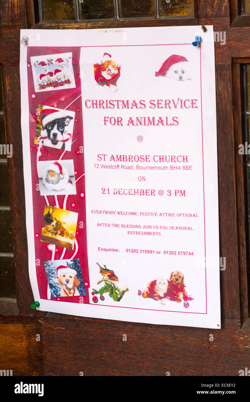 Westbourne, Bournemouth, Dorset, England UK. Dec 21, 2014. Un vicaire de Dibley Noël style service pour les animaux a lieu à l'église Saint Ambroise, Westbourne, Bournemouth, Dorset, UK. La carol service vous rendre grâce pour les animaux domestiques et les animaux à Noël et s'allume une bougie à la mémoire des animaux domestiques n'est plus avec nous. Credit : Carolyn Jenkins/Alamy Live News Banque D'Images