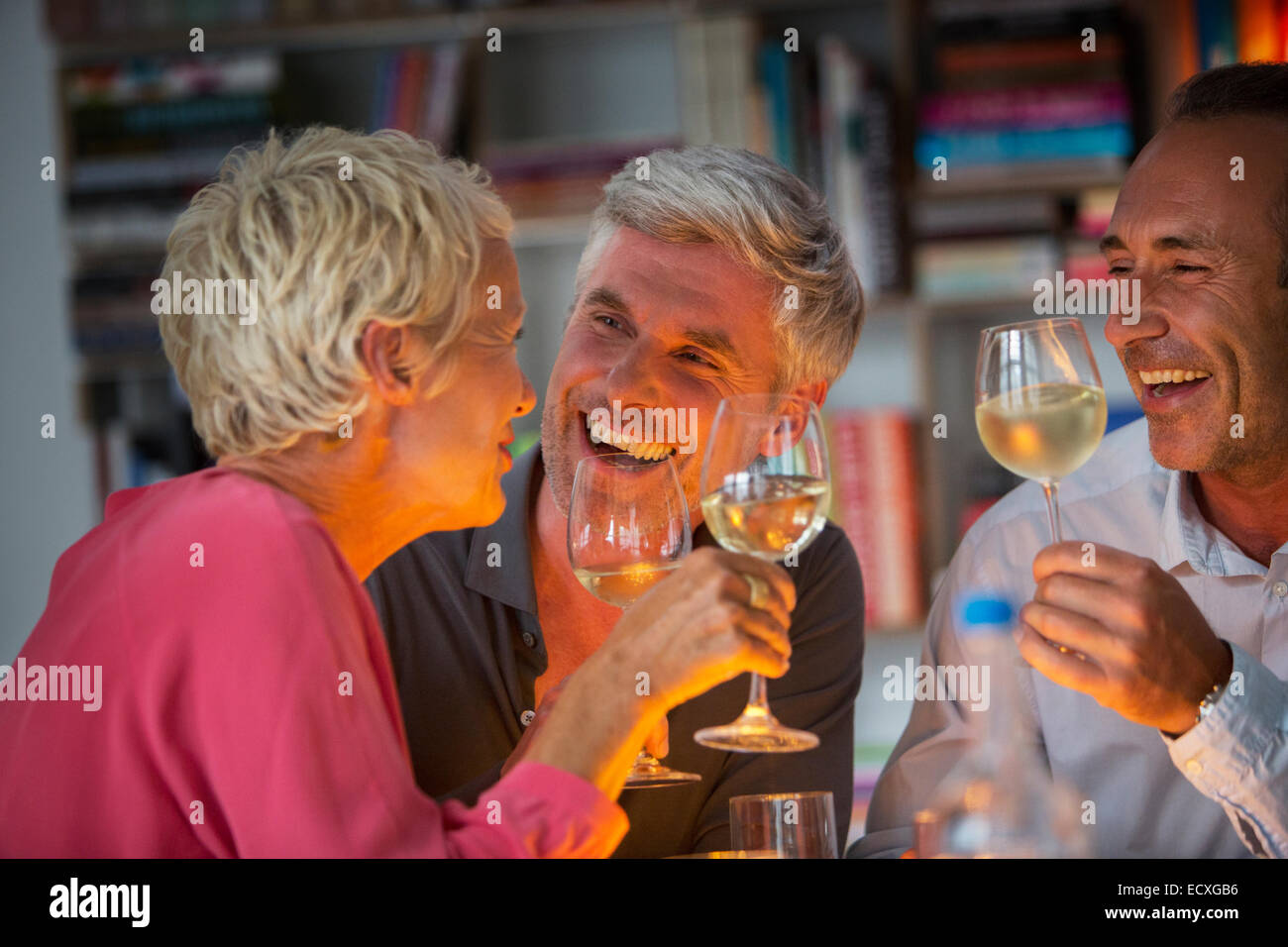 Des amis plus âgés boire du vin Banque D'Images