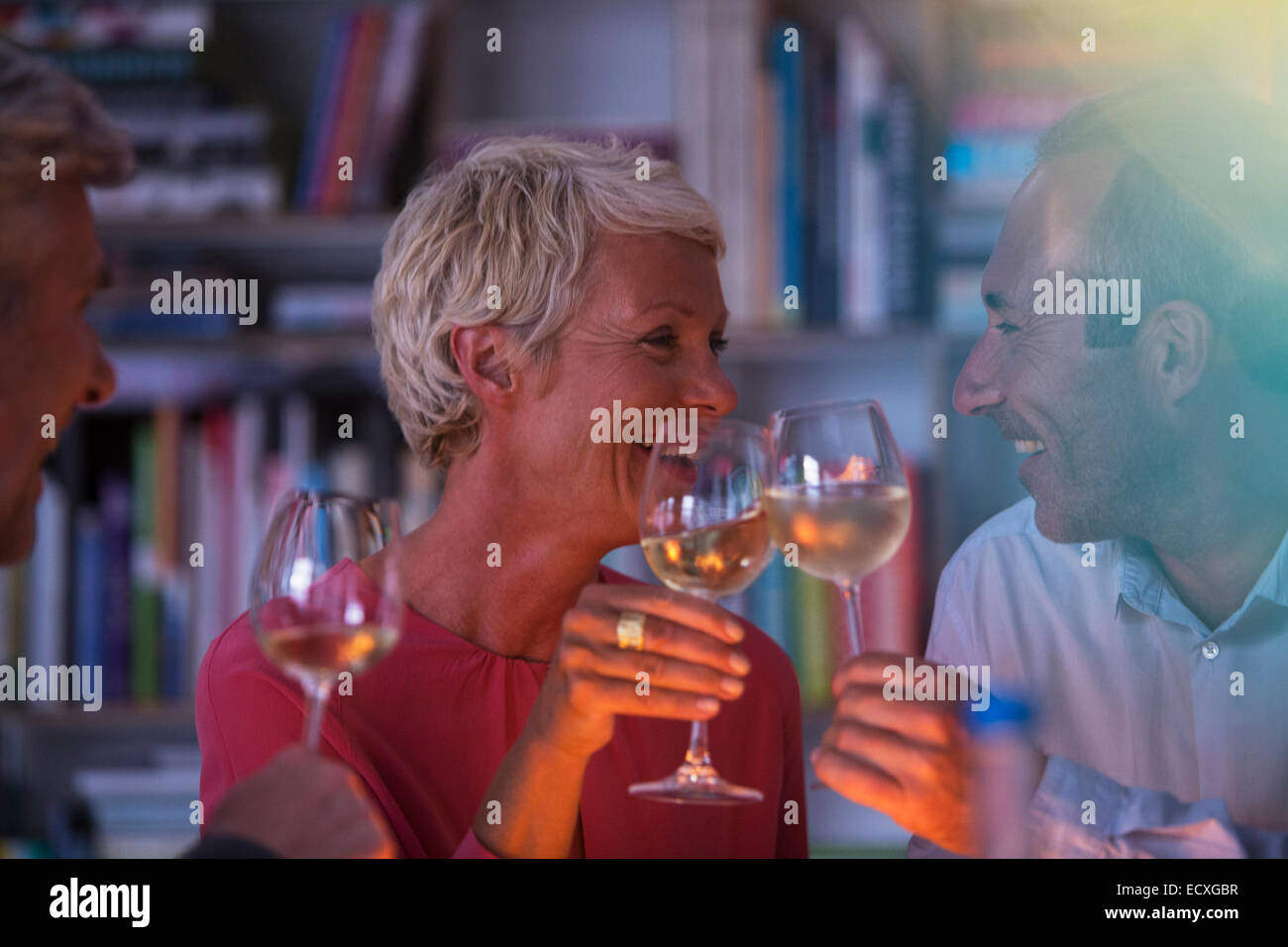 Plus friends toasting each other with white wine Banque D'Images