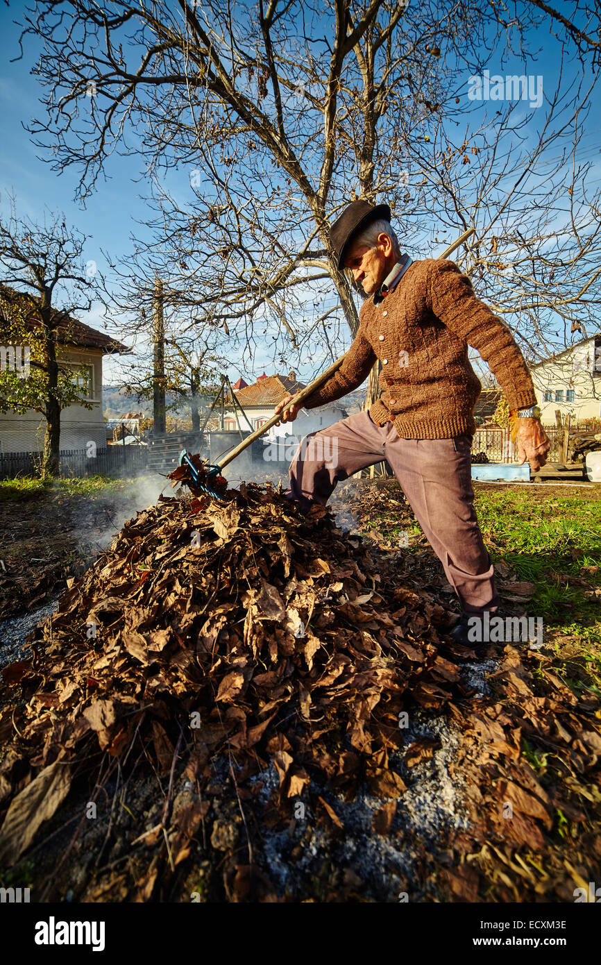 Nettoyage haute farmer son jardin de feuilles tombées, les brûler dans une pile Banque D'Images