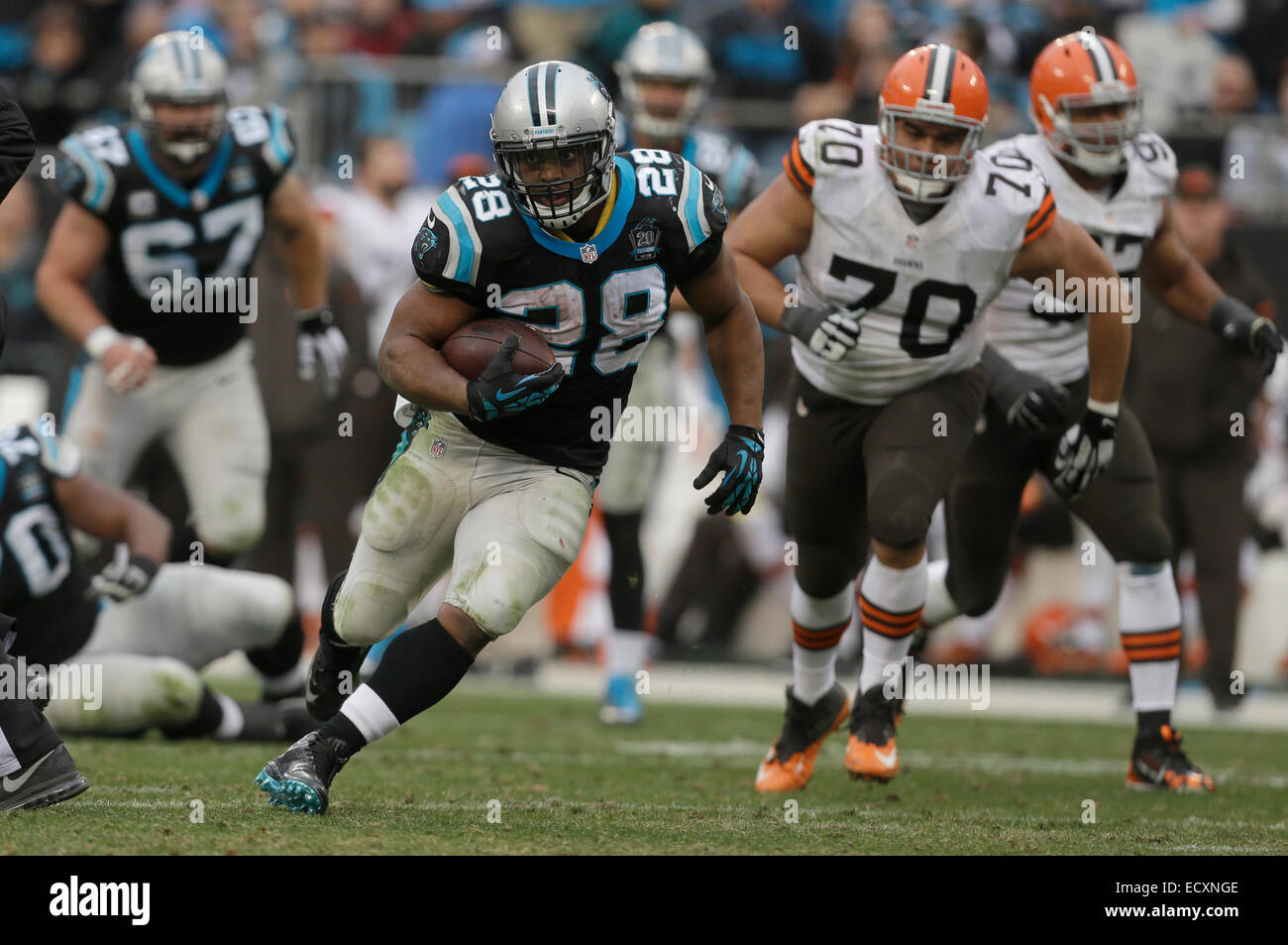 Charlotte, NC, USA. Dec 21, 2014. Caroline panthère d'utiliser de nouveau Jonathan Stewart # 28 trouve un trou dans la ligne défensive de la NFL dans un match contre les Browns de Cleveland au stade Bank of America le 21 décembre 2014, à Charlotte, NC. Les Panthère défait les Browns 17-14. Margaret Bowles/CSM/Alamy Live News Banque D'Images