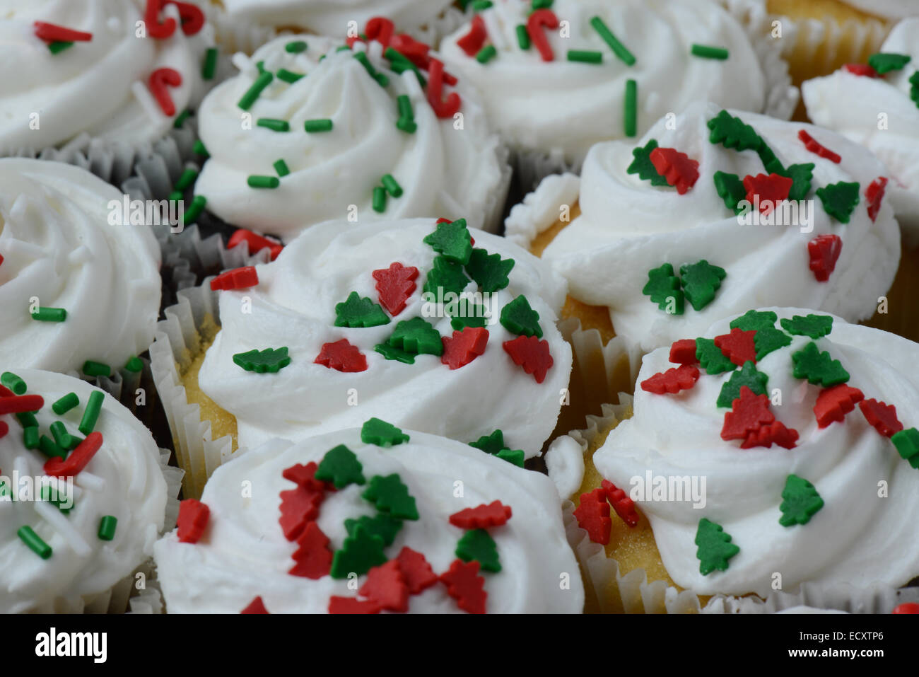 Petits gâteaux de Noël chocolat et vanille Banque D'Images