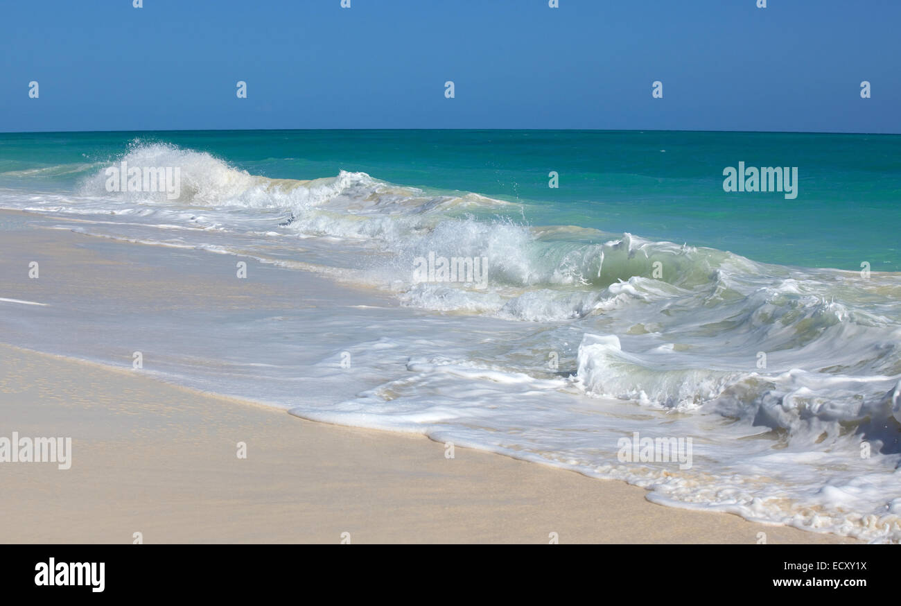 Mer des Caraïbes. Playa Los Cocos. Cayo Largo. Cuba. Banque D'Images