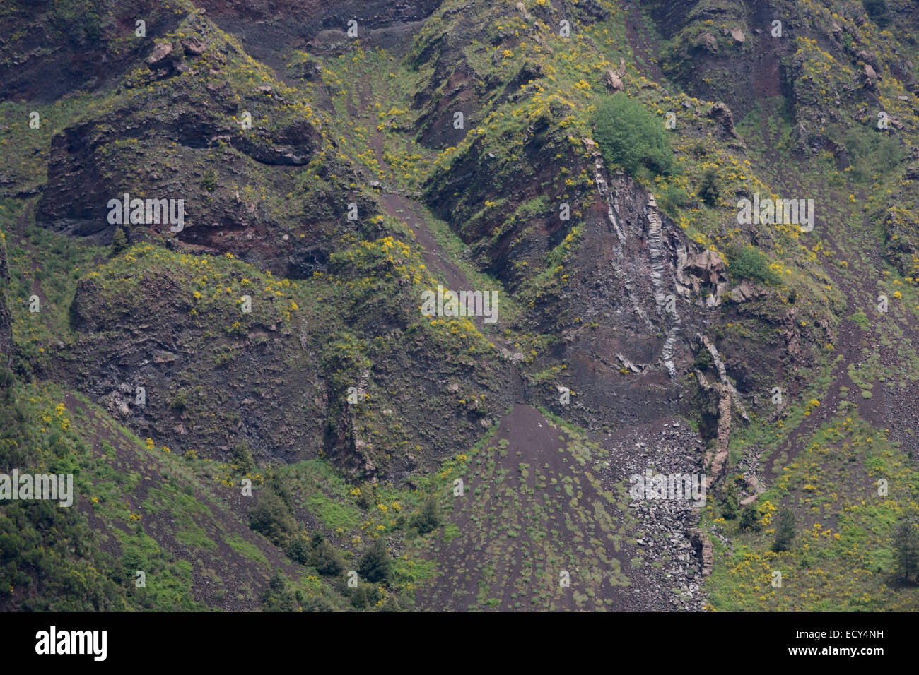 Pentes de revêtement de lave volcan Vésuve dormantes, près de Naples, Italie. Banque D'Images