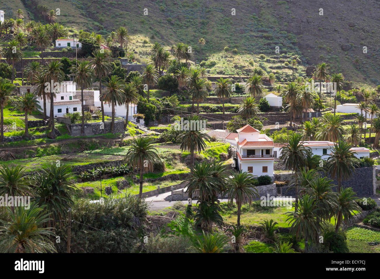 Le hameau Taguluche, Valle Gran Rey, La Gomera, Canary Islands, Spain Banque D'Images