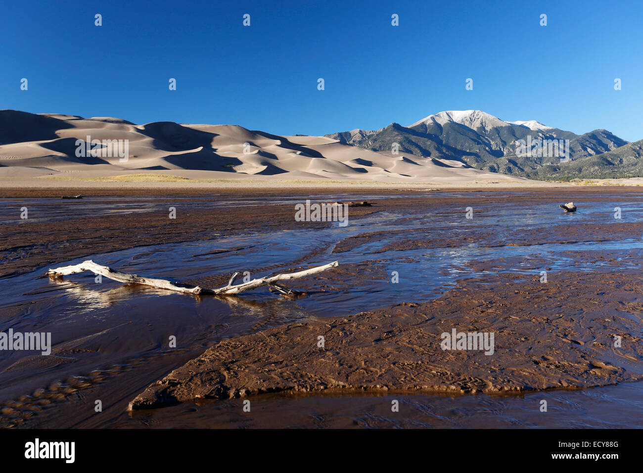 Medano Creek, Great Sand Dunes National Park and Preserve, Colorado, United States Banque D'Images