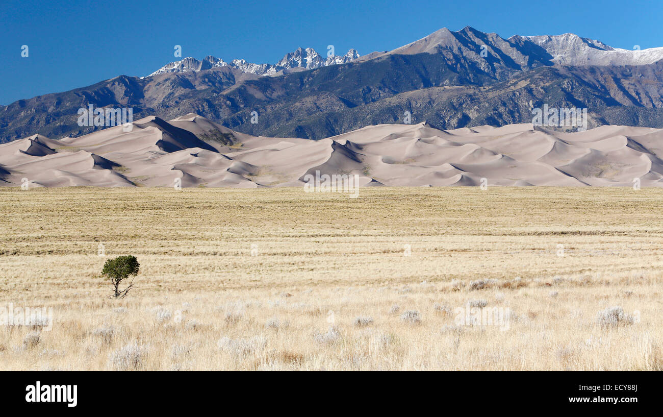 Montagnes Sangre de Cristo, Great Sand Dunes National Park and Preserve, Colorado, United States Banque D'Images