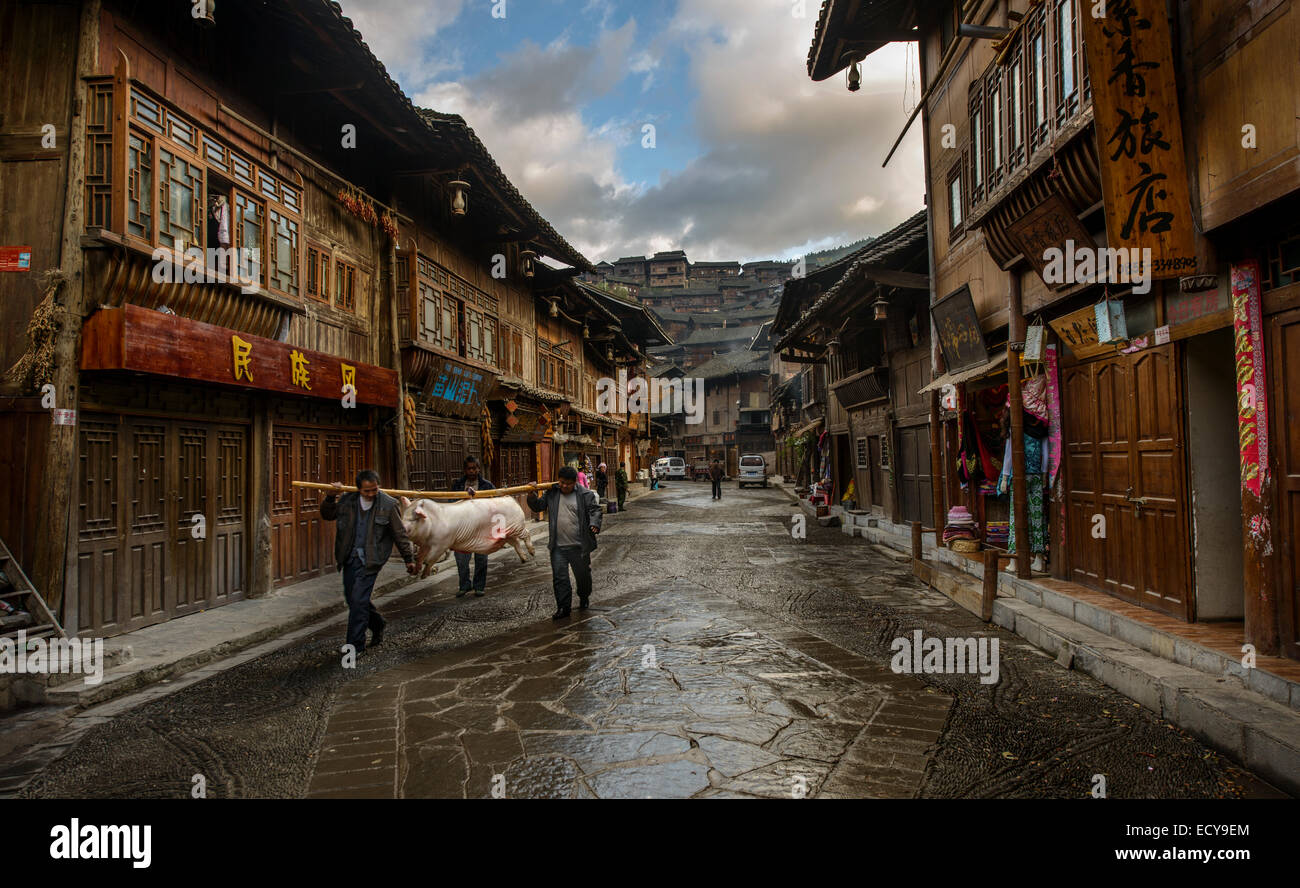 Les hommes exerçant son cochon, XiJiang, province de Guizhou, Chine Banque D'Images