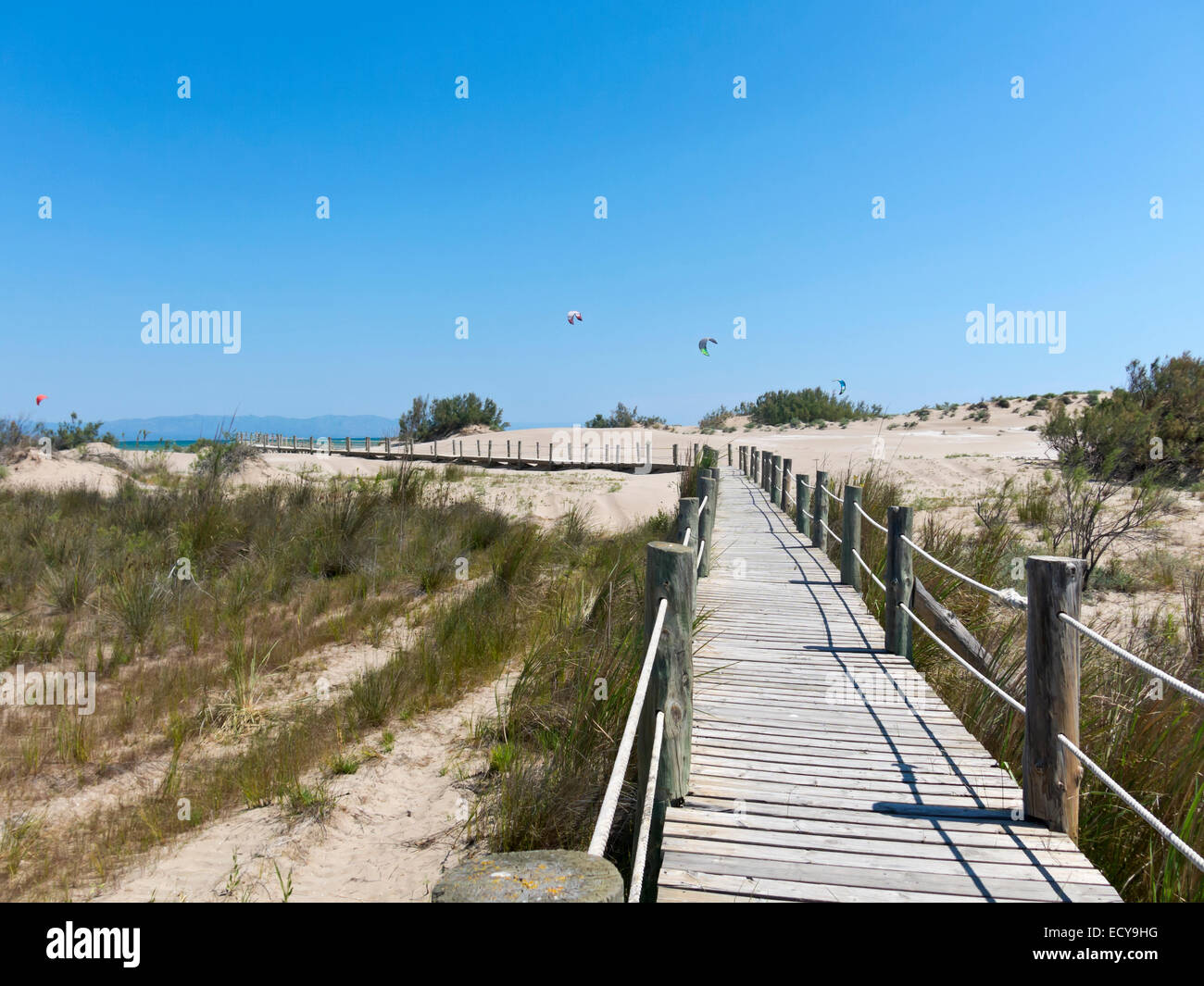 Le Delta de l'Ebre National Park est situé à l'embouchure de l'Èbre dans la province de Tarragone, en Catalogne, Espagne. Banque D'Images