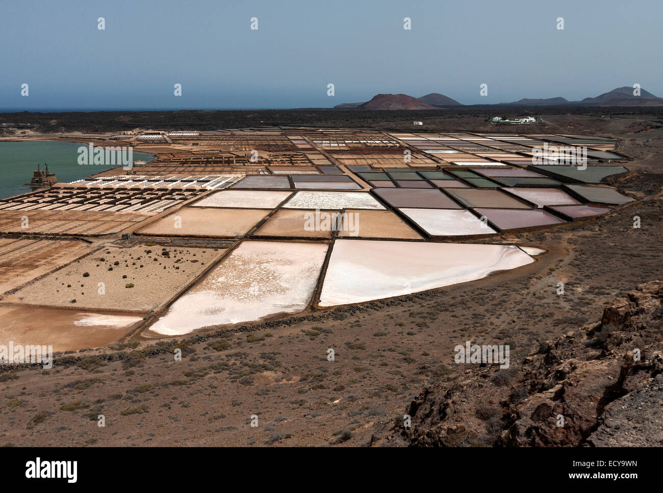 La production de sel de mer, les marais salants, Salinas de Janubio, Lanzarote, îles Canaries, Espagne Banque D'Images