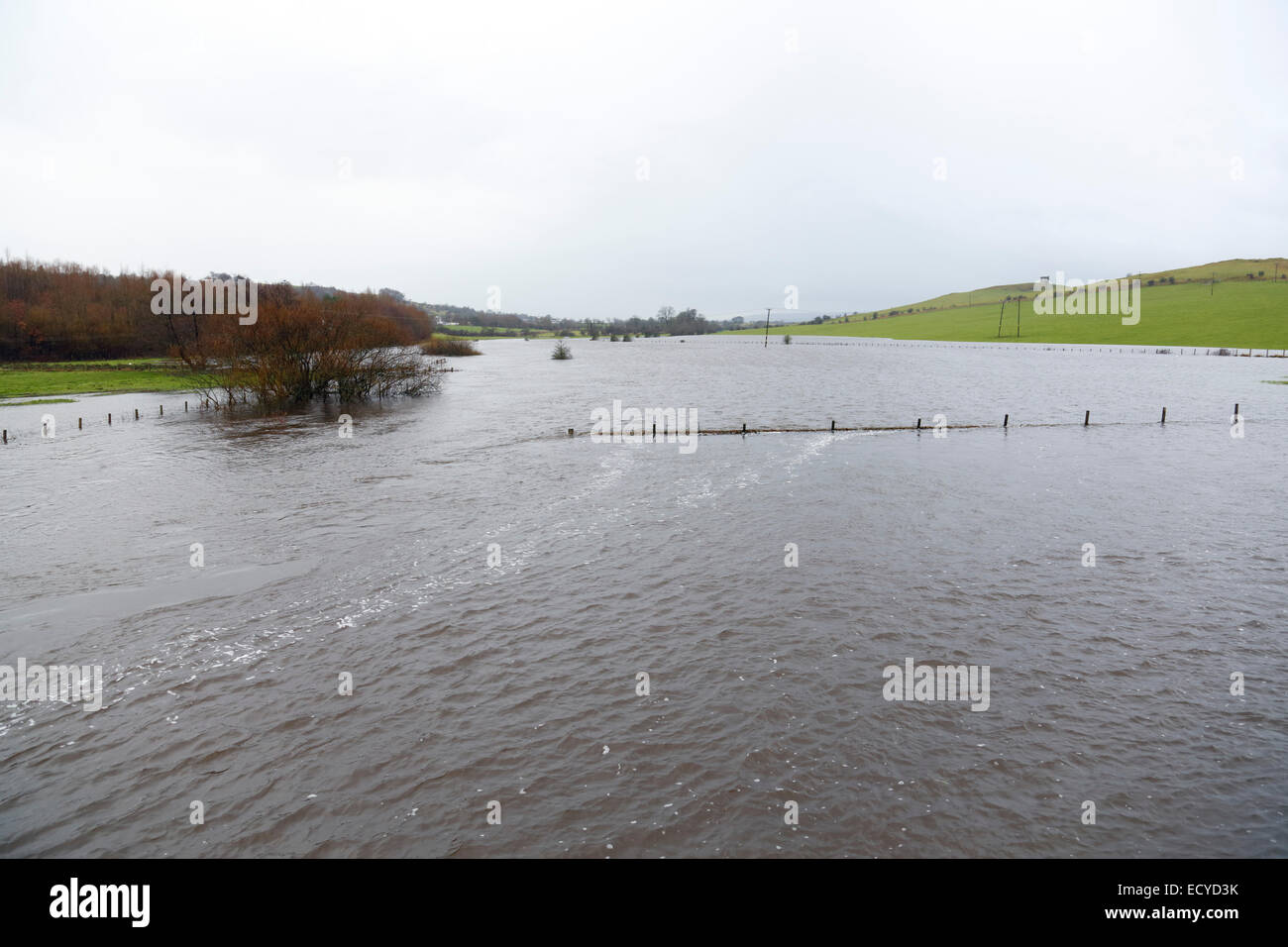 Renfrewshire, Écosse, Royaume-Uni, lundi 22 décembre 2014. Après une forte pluie de nuit, la rivière Black Cart Water, près du village de Howwood, dans le Renfrewshire, a éclaté, ses rives inondent les terres agricoles environnantes Banque D'Images