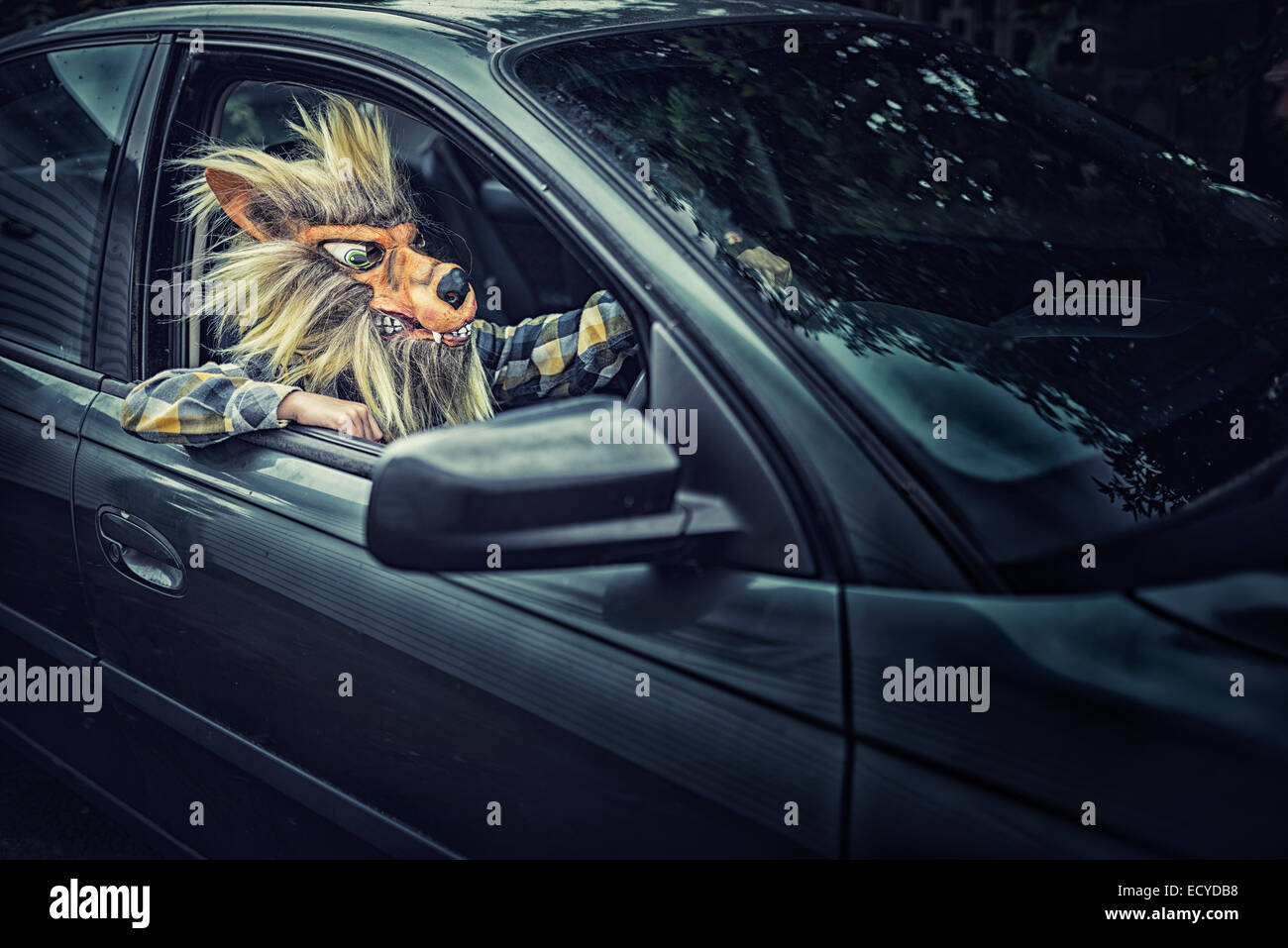 Mixed Race boy portant masque et loup driving car Banque D'Images