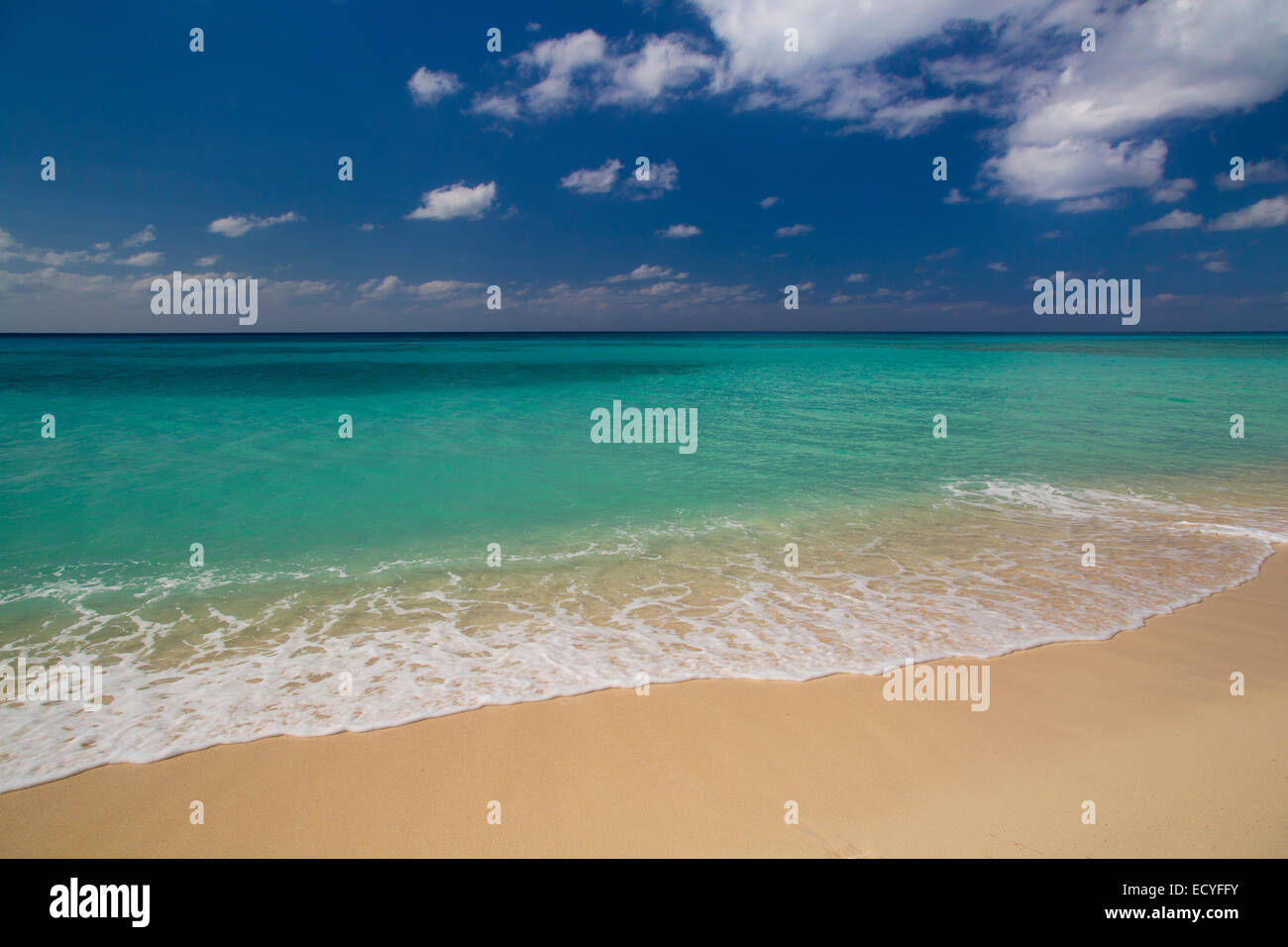 L'eau turquoise le long de la plage Seven-Mile, Grand Cayman, îles Caïmans, Antilles Banque D'Images