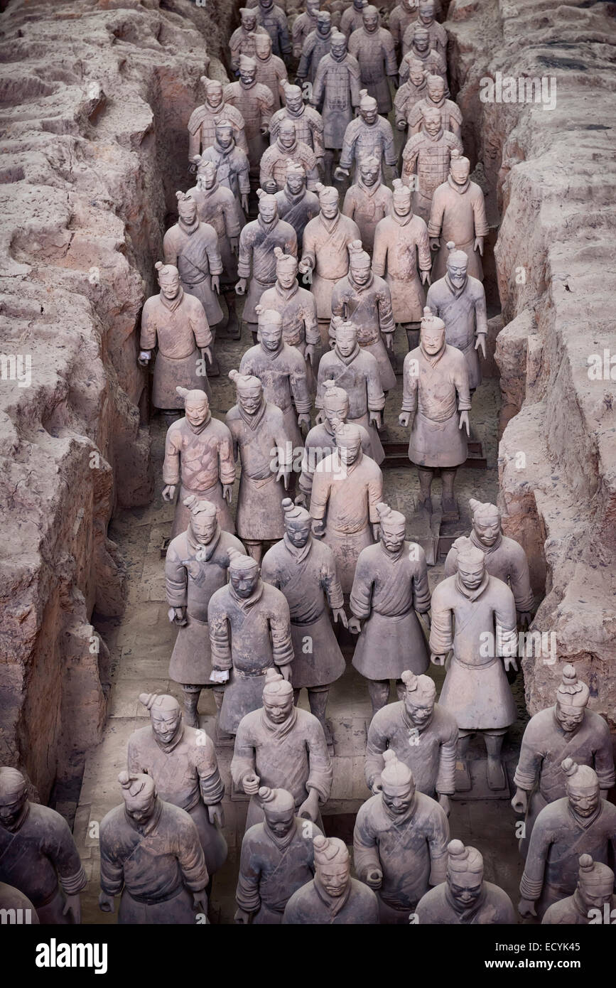 Les Guerriers en terre cuite de Qin, l'Armée de terre cuite dans un musée de Xi'an, Shaanxi, China 2014 Banque D'Images