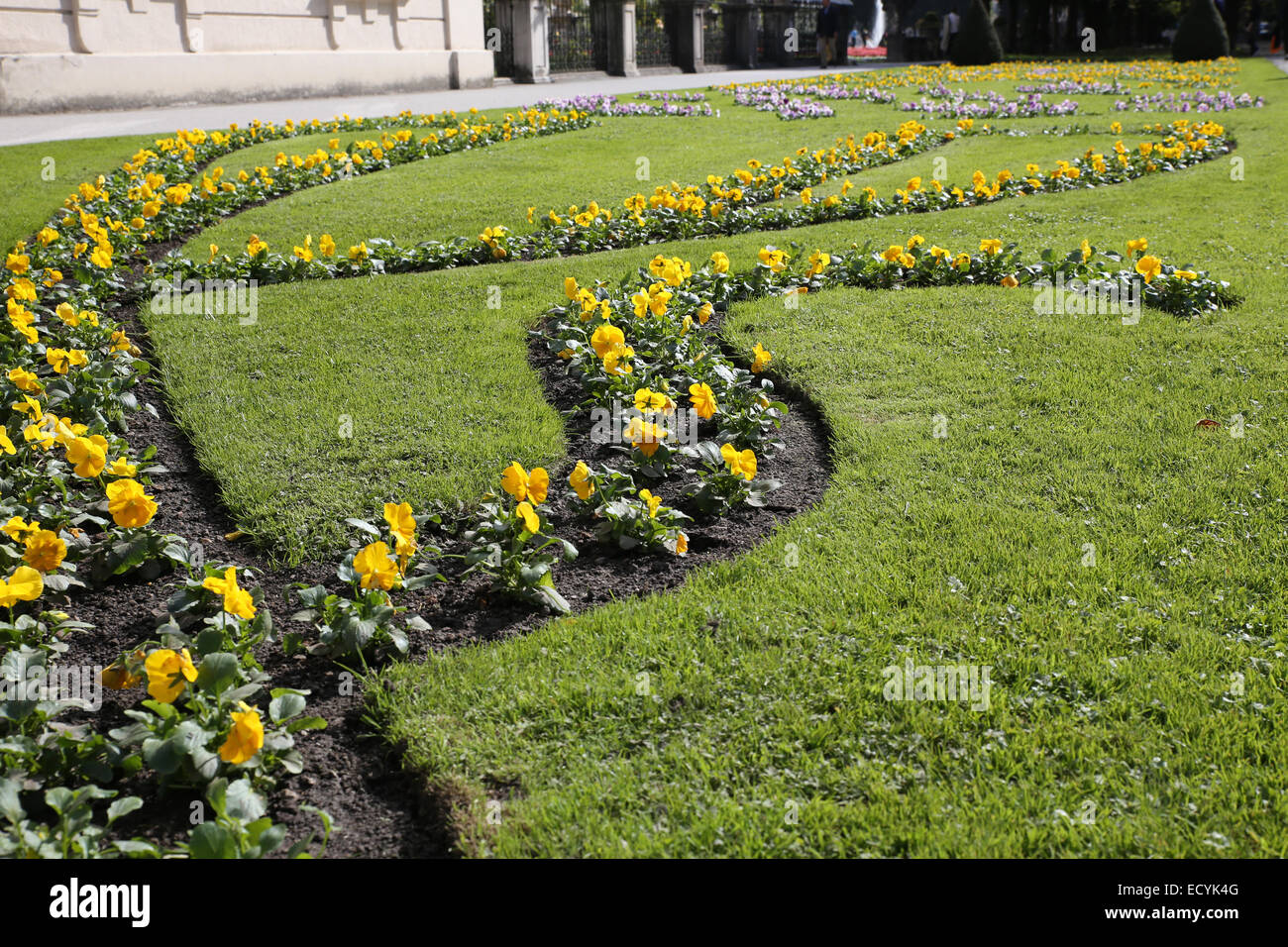 Arrangement de fleurs Piscine Jardin Mirabell Banque D'Images