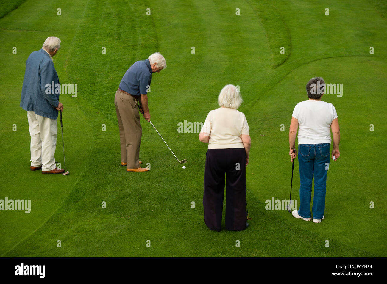 Un groupe de 4 personnes âgées, quatre couples retraités, les retraités en vacances locations playing miniature golf, UK Banque D'Images