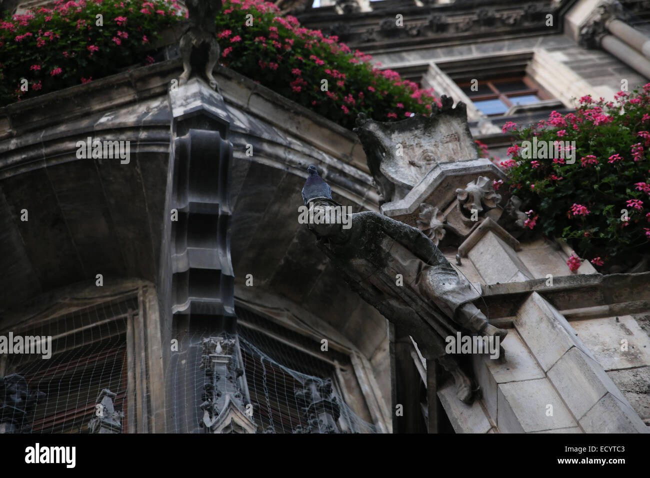 Hôtel de ville de Munich détails sculpture Banque D'Images