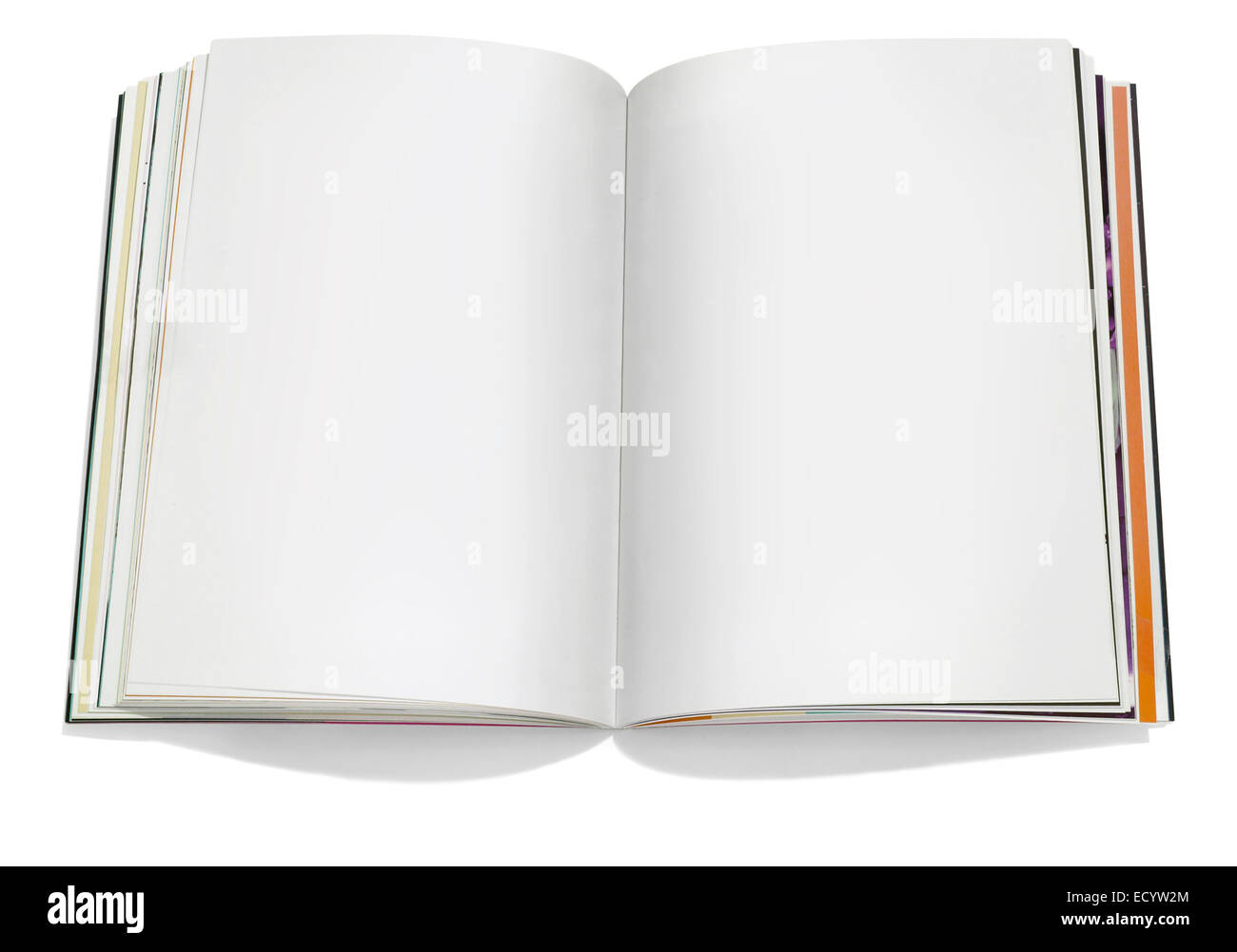 page blanche livre ouvert photographié sur un fond blanc Banque D'Images