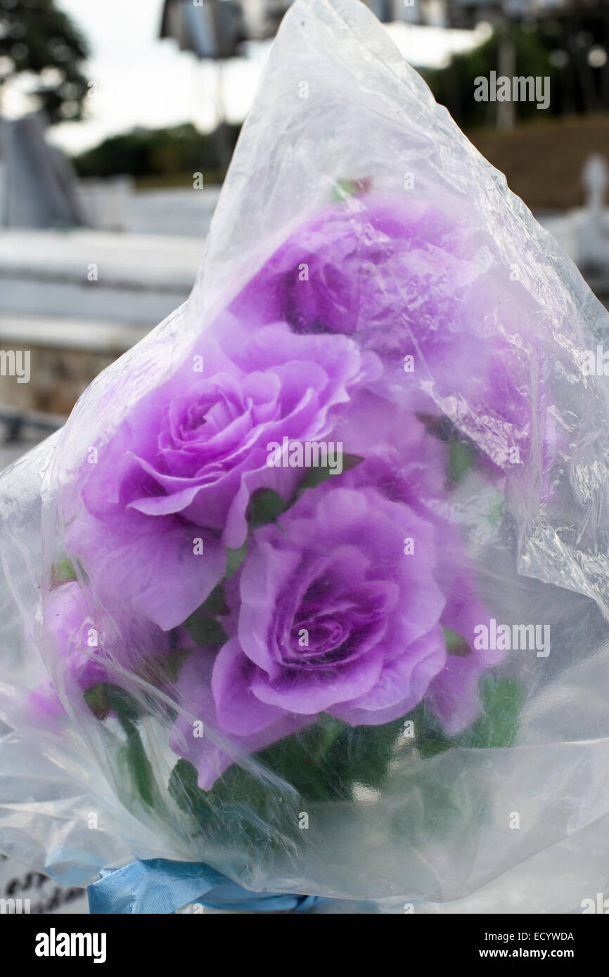 Fleurs à la Nécropole Cristobal Colon cimetière, La Havane, Cuba Banque D'Images