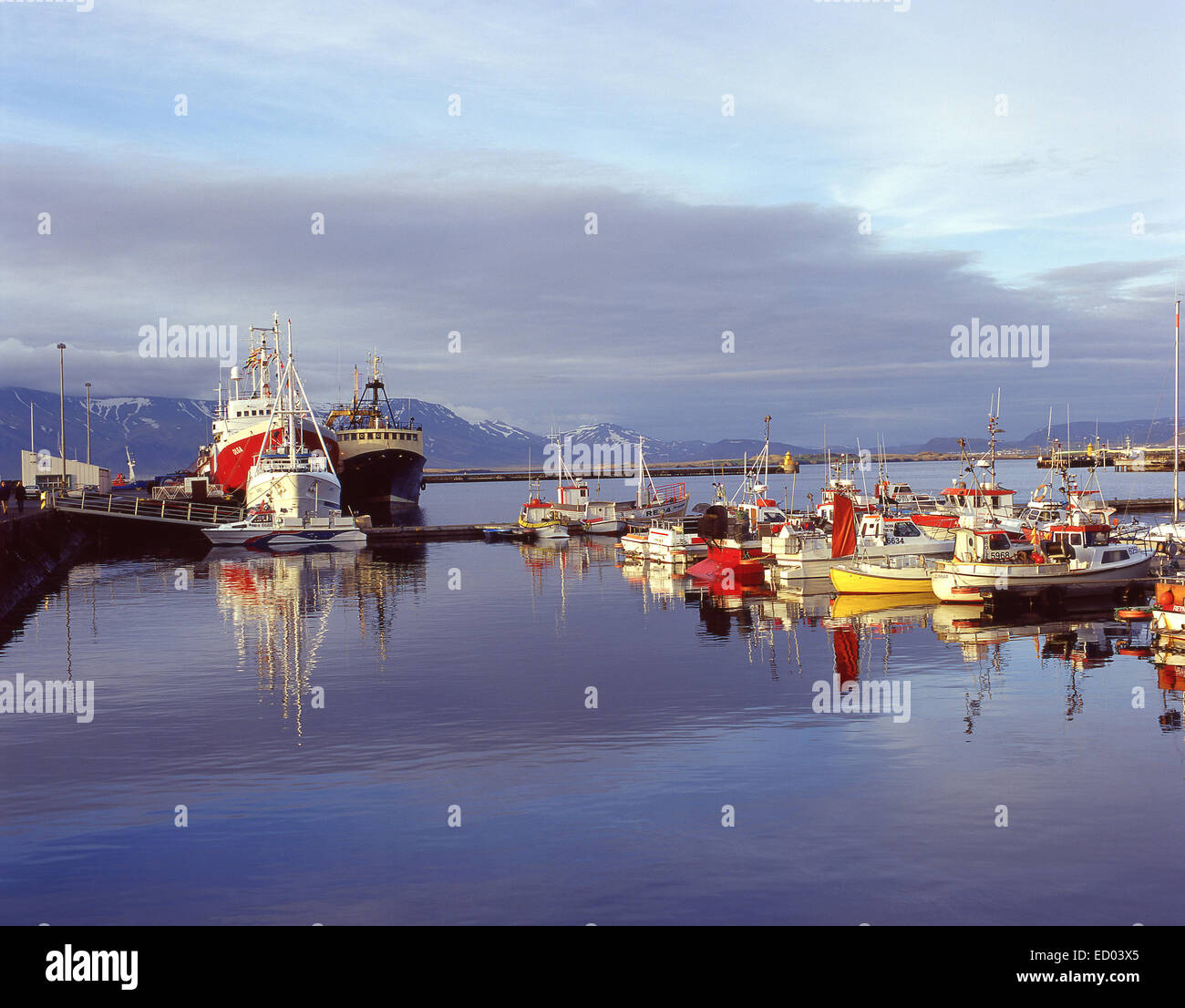 Bateaux de pêche au port, Reykjavík, la capitale nationale, République d'Islande Banque D'Images