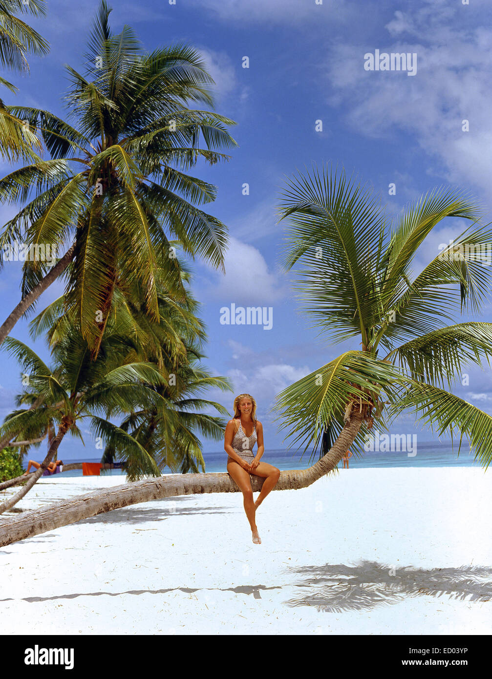 Young woman sitting on palm tree, Kuda Bandos, Holiday Island, Atoll de Kaafu, République des Maldives Banque D'Images