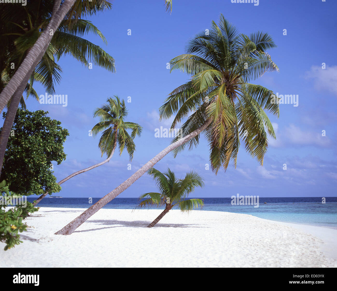 Tropical Beach, l'île de Kuda Bandos, Atoll de Kaafu, République des Maldives Banque D'Images