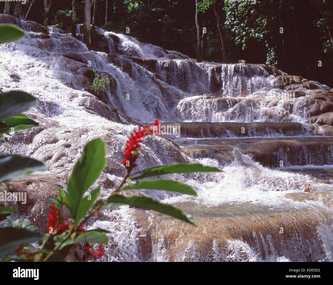 Dunn's River Falls, Ocho Ríos, paroisse de Saint Ann, Jamaïque, Antilles, Caraïbes Banque D'Images