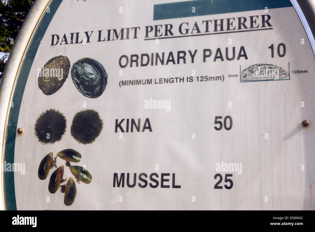 Signe typique trouvés sur la côte de la Nouvelle-Zélande montrant les limites quotidiennes de paua (abalone), kina (oursins) et les moules Banque D'Images