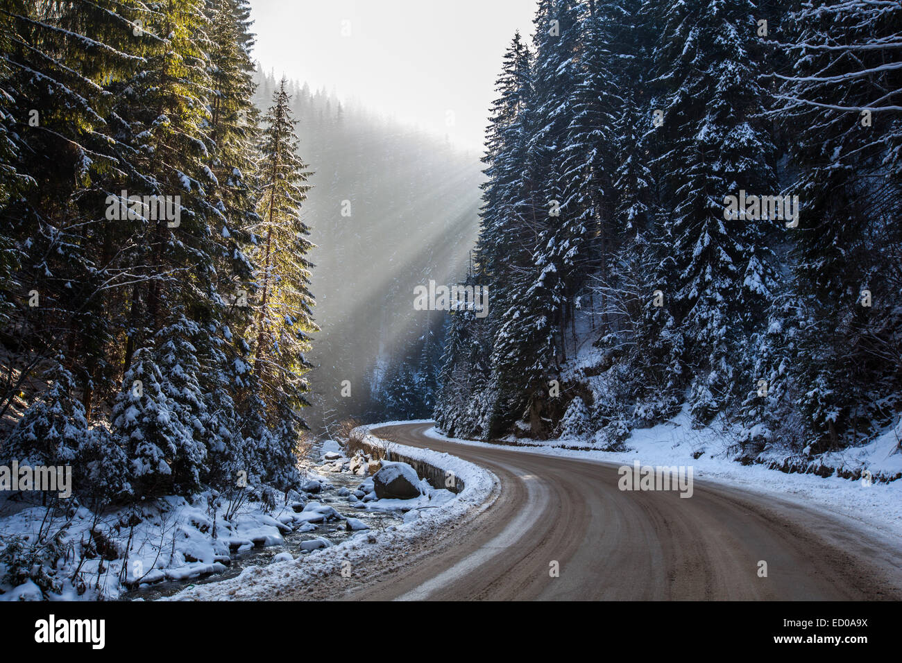 Paysage d'hiver enneigé Road dans la montagne. Banque D'Images