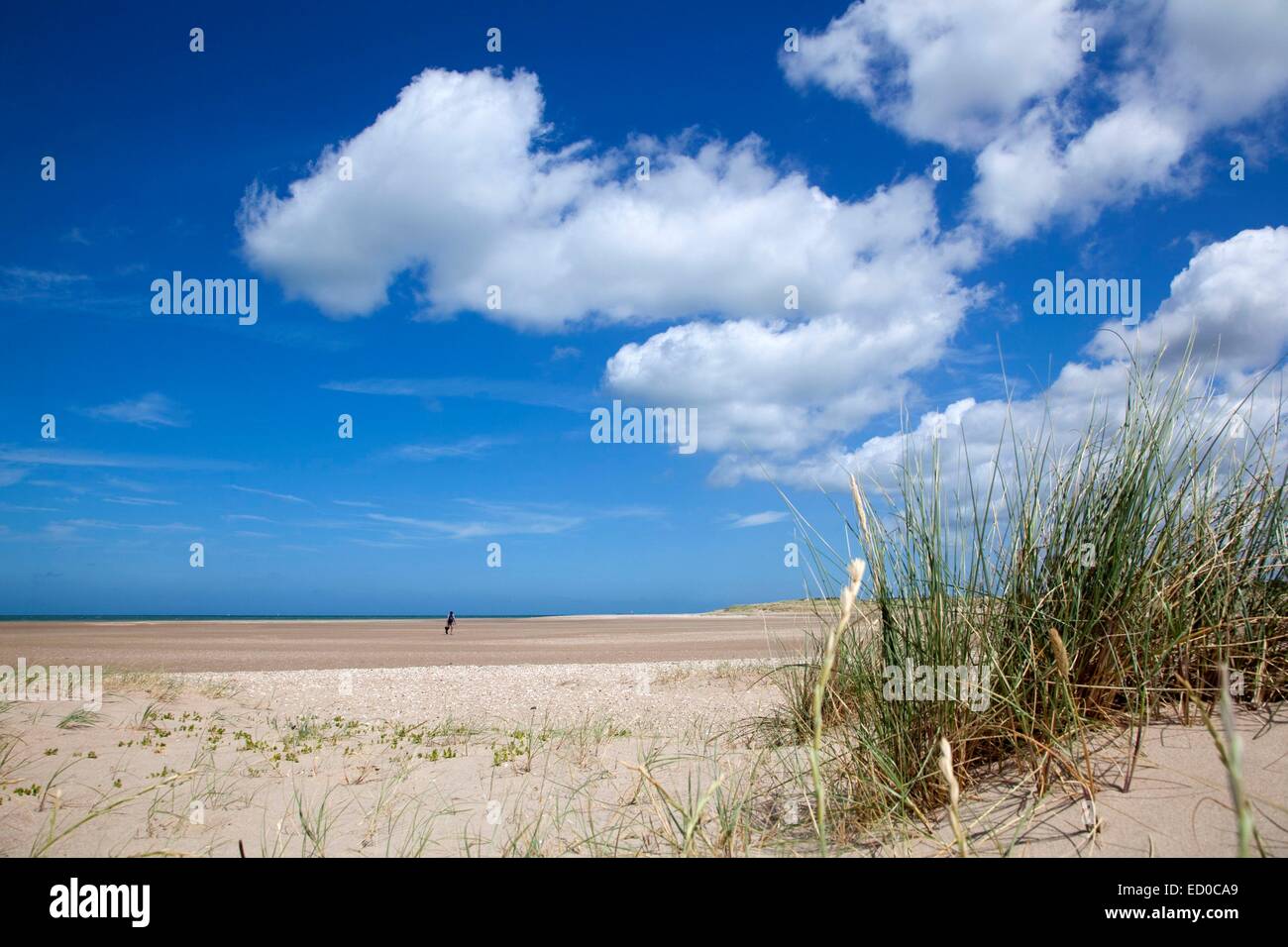 Oye Plage Banque d'image et photos - Alamy