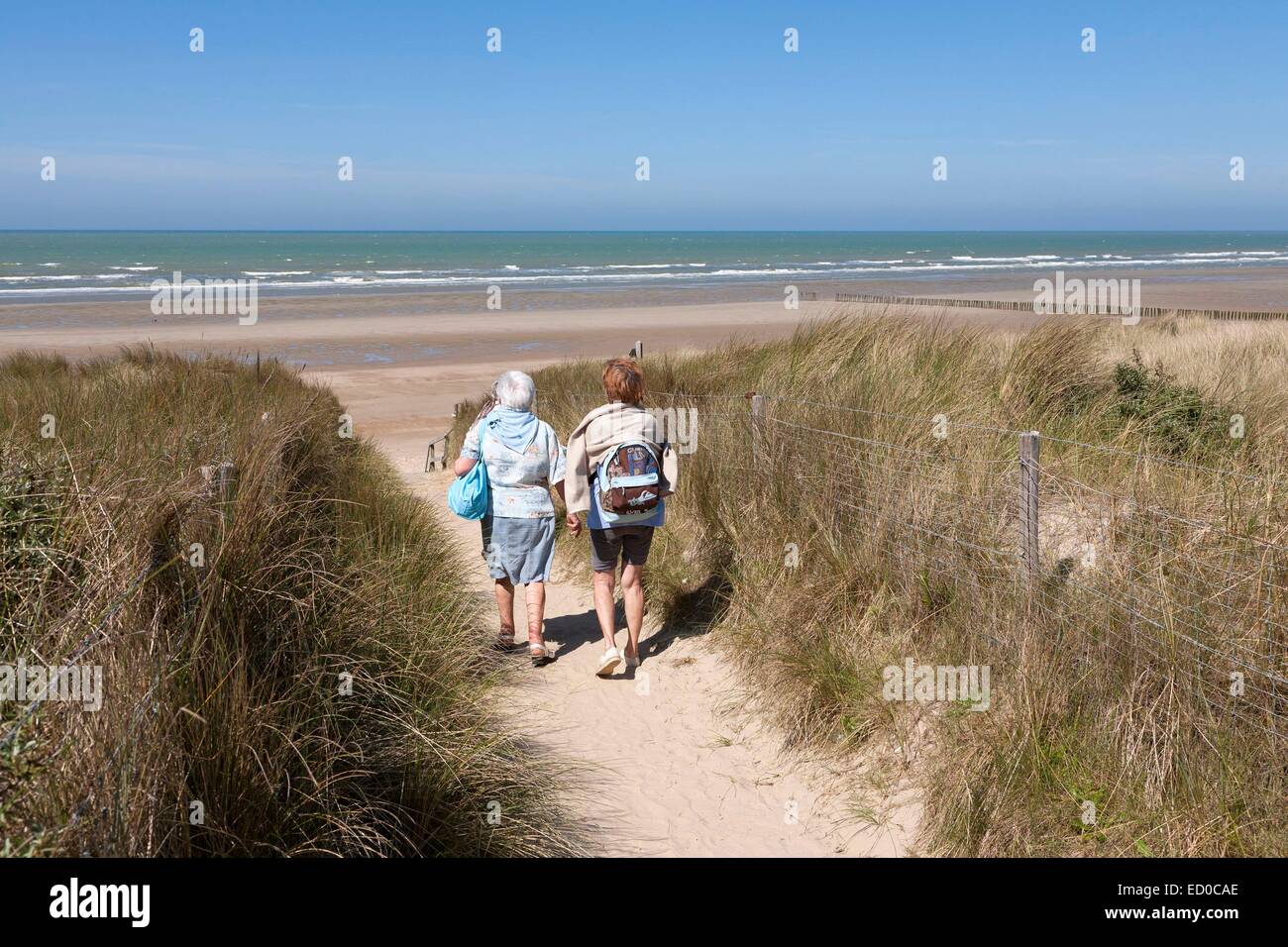 La France, Pas de Calais, Oye Oye plage plage, réserve naturelle, 2 ...