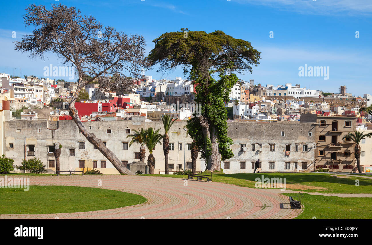 Jardins de la Mendoubia. Street view avec de vieux arbres de la Place du 9 avril 1947. Tanger, Maroc Banque D'Images