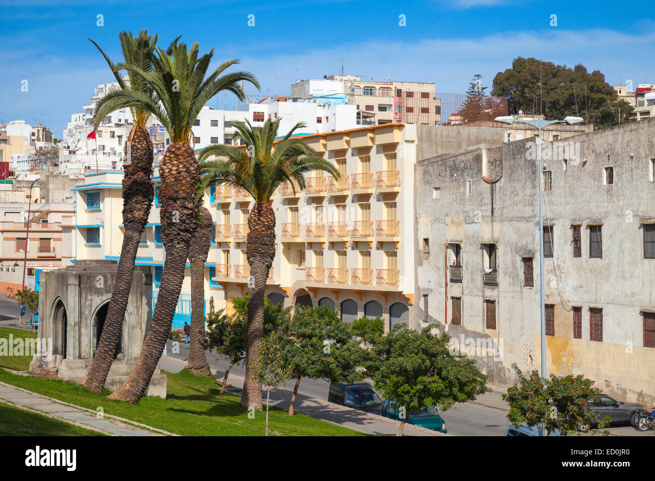 Jardins de la Mendoubia. Vue sur la rue avec des palmiers de la Place du 9 avril 1947. Tanger, Maroc Banque D'Images