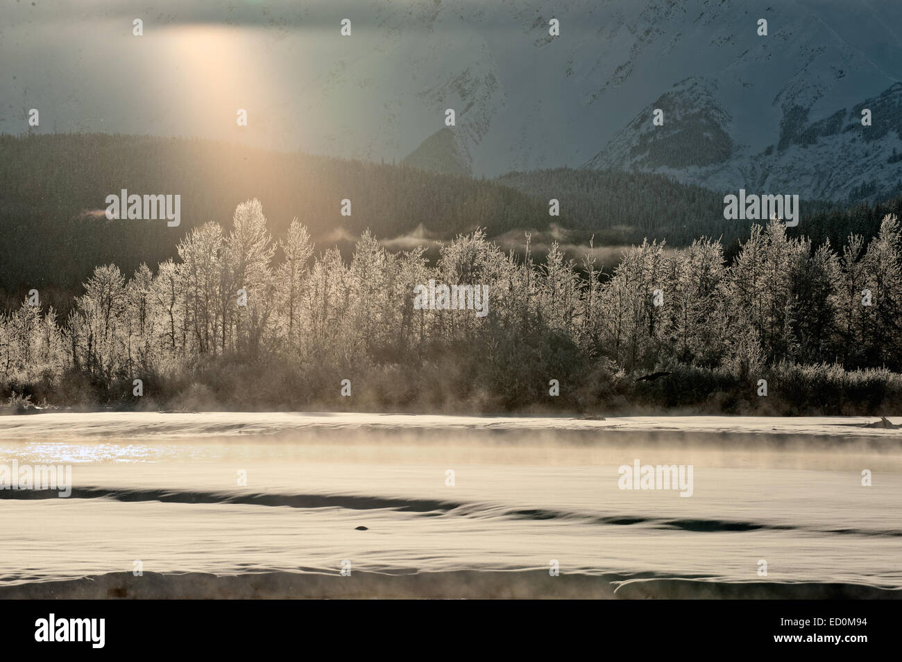 Les Chilkat Valley sous une couverture de neige, avec des montagnes derrière. Sud-est de l'Alaska. Banque D'Images
