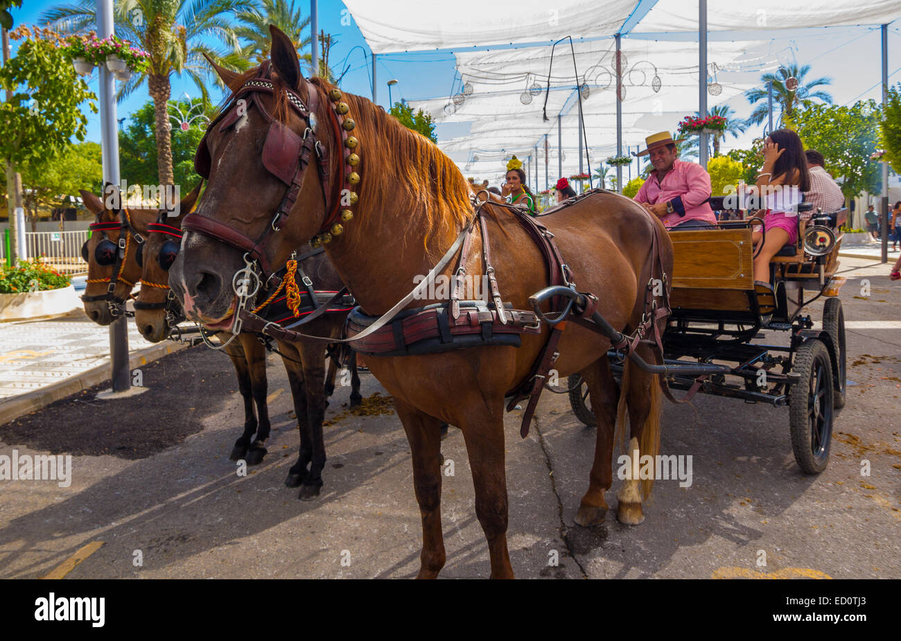 ANDUJAR, ESPAGNE - septembre 6 : Les participants à la foire du cheval à pied sur leurs chars et costumes typiques de style andalou Banque D'Images