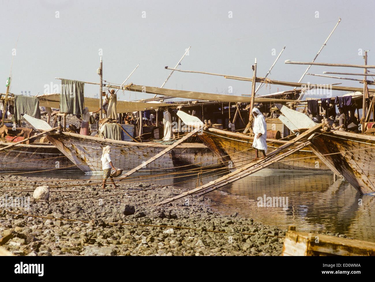 Le Koweït d'octobre 1966. Les dhows sur le front de la SIEF en fin d'après-midi. Banque D'Images