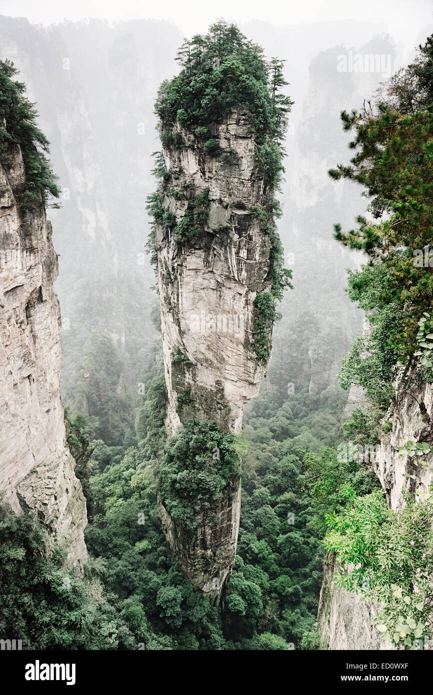Flèche de la montagne couverte d'arbres au Parc forestier national de Zhangjiajie, Zhangjiajie, Hunan, Chine Banque D'Images